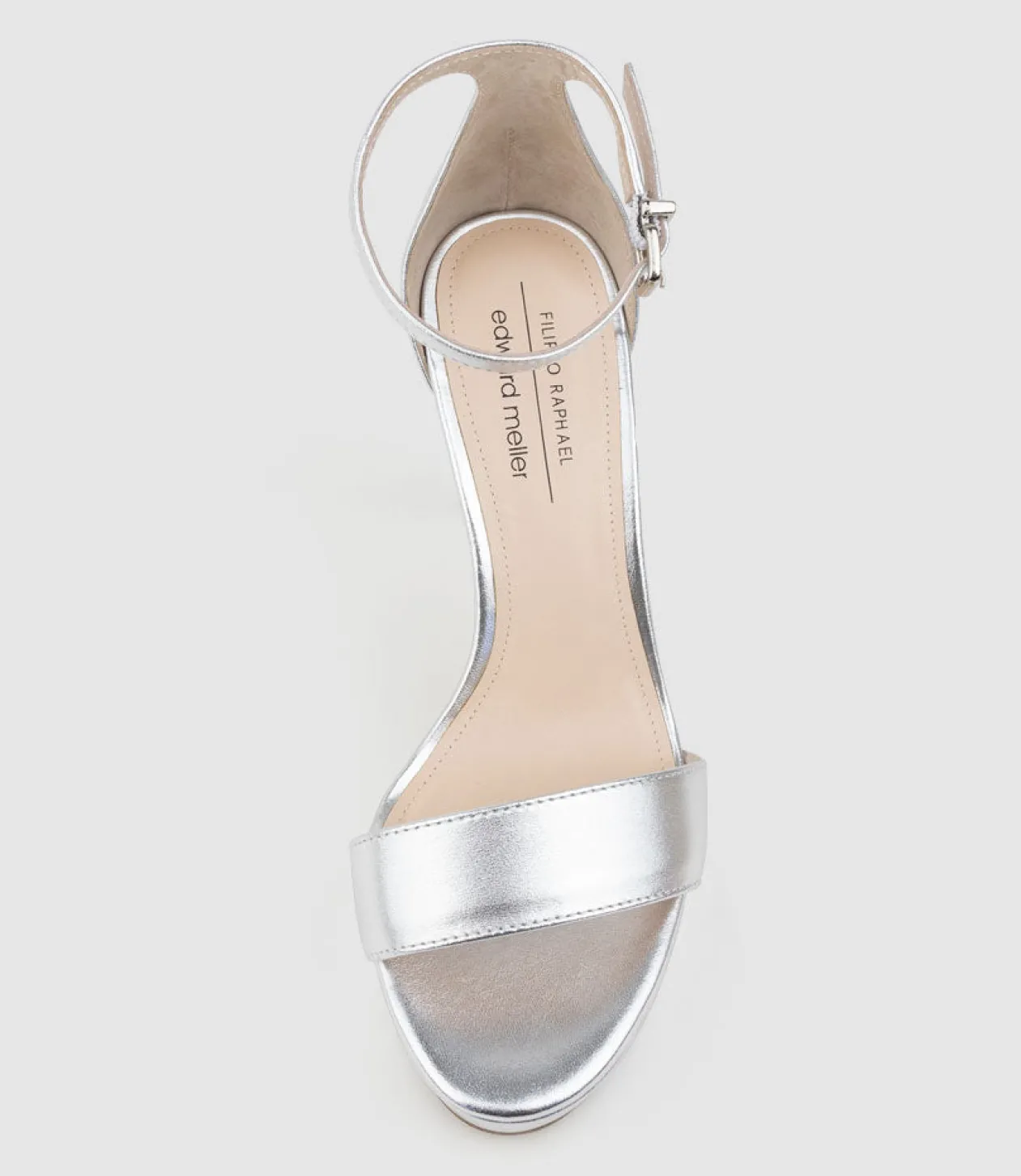 Sydney110 Single Strap Platform Sandal In Silver