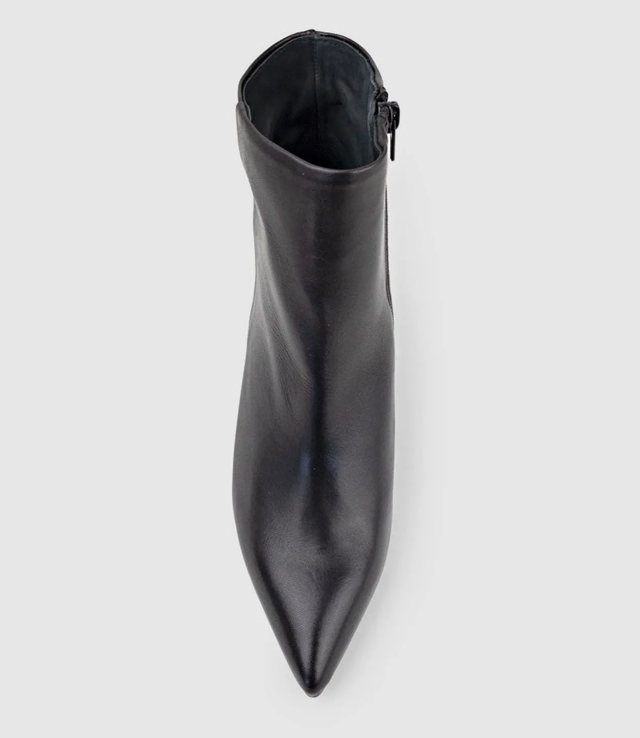 Zim70 Pointed Ankle Boot In Black